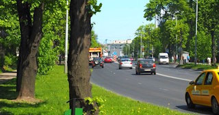 Посадка деревьев и кустарников в Одинцове — стоимость от 1243 руб.